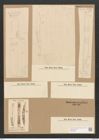Hantzschia amphioxys (Ehrenb.) Grun. (de-Toni-Nr.: Genus 50, Species 2204) Zeichnungen Sammlung Grunow Nr. 4601 (NHMW-BOT-W0372625)
